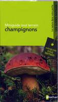 mini guide champignon.jpg